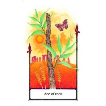 Tarot Of The Old Path rinkinys kortos ir knyga AGM